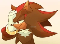 Shadow the hedgehog