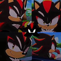 Shadow The Hedgehog 