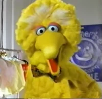 Big Bird