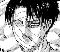 Levi Ackerman 