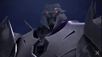 Megatron Tfp