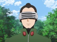 Shino Aburame 