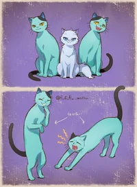 Cat Octavinelle dorm