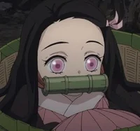 Nezuko Kamado 