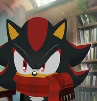 Shadow The Hedgehog 