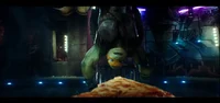 The TMNT Brothers