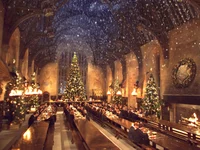 Harry Potter GC