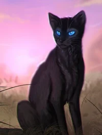 Crowfeather
