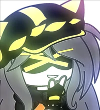 Serial Designation N