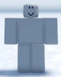 Training NPC