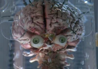 Brain In A Jar