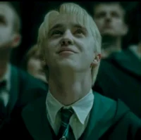 Draco Malfoy 