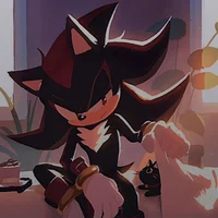 Shadow The Hedgehog 