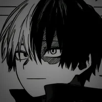 Shoto Todoroki 