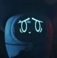 Beau
