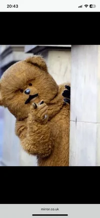 Bungle Bear 