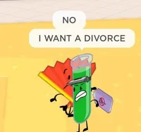 fountain pen and ink