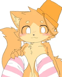 Catte Femboy ver