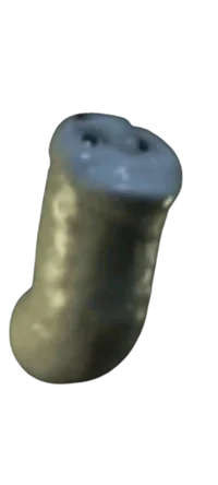 Worm Thomas 