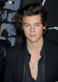 Harry Styles 