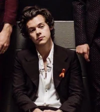 Harry Styles 
