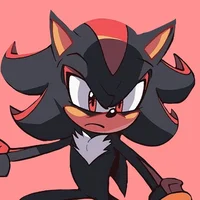 Shadow T Hedgehog 