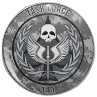Task force 141 