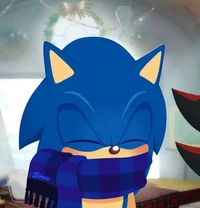 Sonic T Hedgehog 
