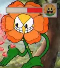 Cagney Carnation 