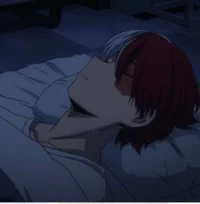 Shoto Todoroki