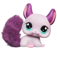 Chinchilla