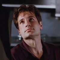 Fox mulder 