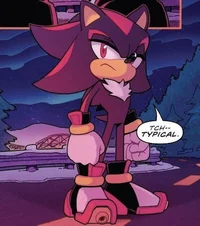 Shadow T Hedgehog 