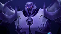 TFP- Megatron