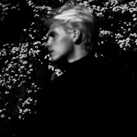 DRACO