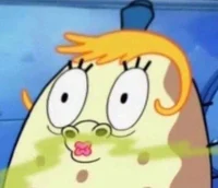 Book tok and biketok