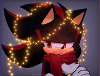 Shadow T Hedgehog 