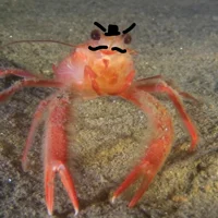Evil crab