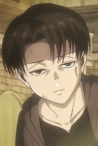 Young levi Ackerman 