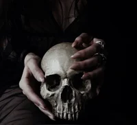 Noble house of Black