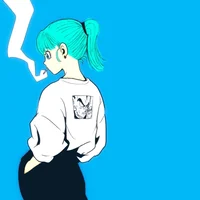 Bulma Briefs