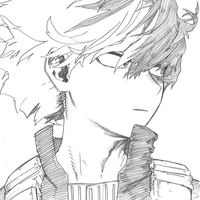 BHNA Shoto Todoroki