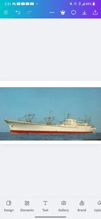 NS Savannah