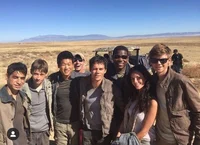 010 MAZE RUNNER