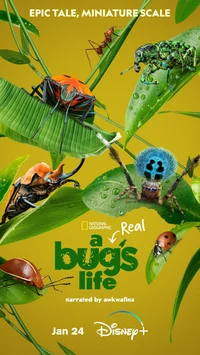 A Bugs Life