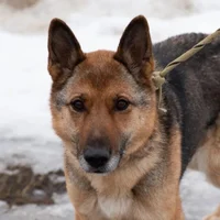 Сергей Рыбкин 