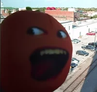 Stupid Orange