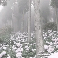 RE8FEM LORDS ANDKIDS