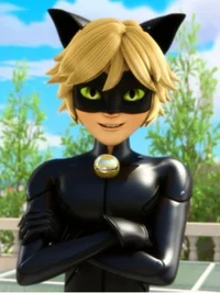 Cat Noir 