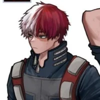 MHA - Shoto Todoroki